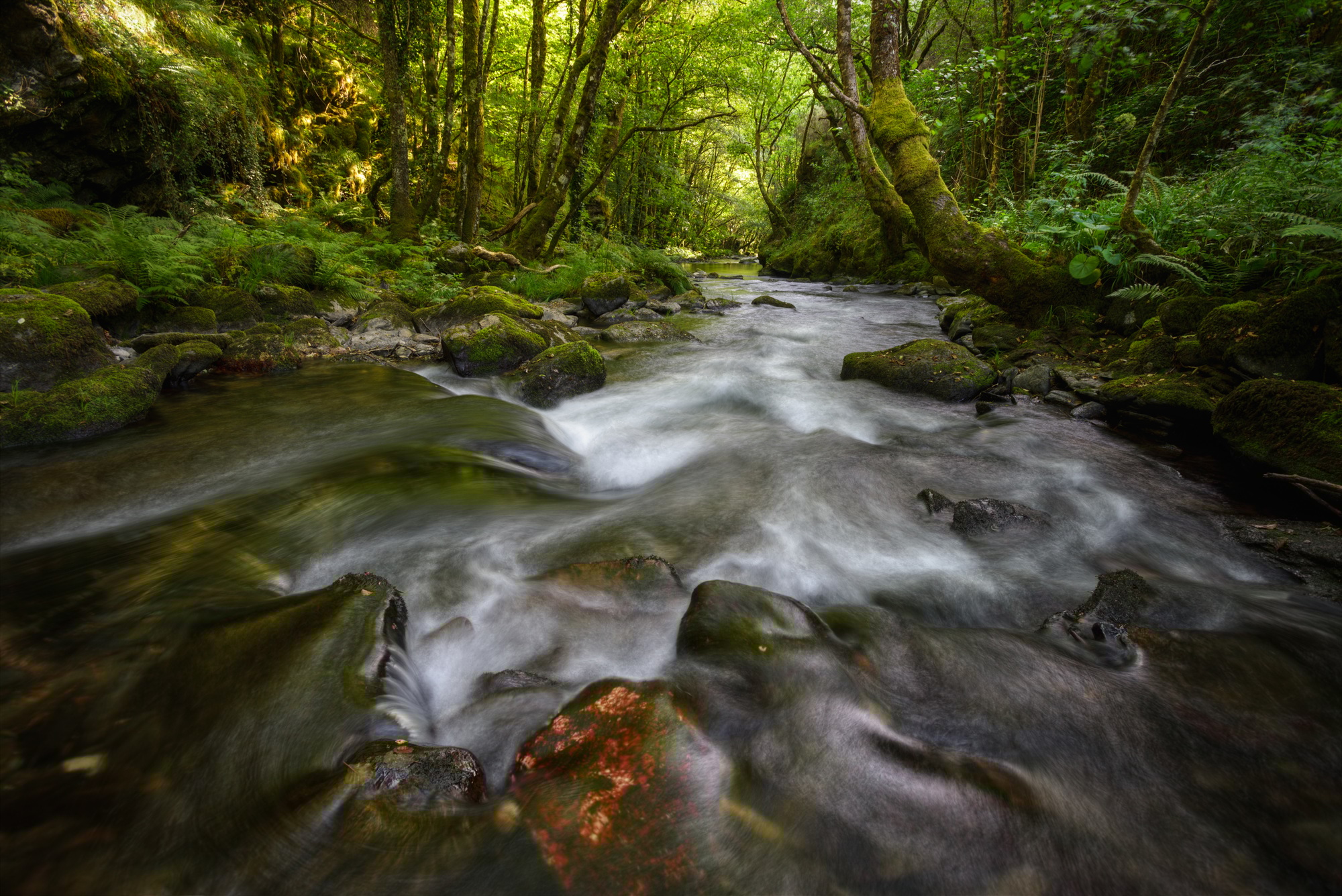 River of Calm Waters with Greenish Atmosphere